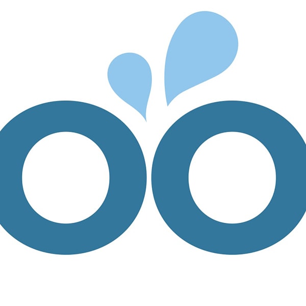 Proyectos de diseño Gráfico. Extracto del Logo de Wepool